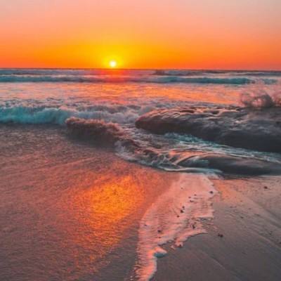 注册就送38的平台app下载